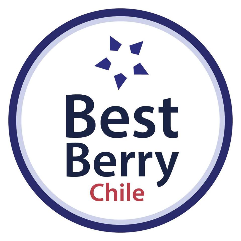 Best Berry Chile